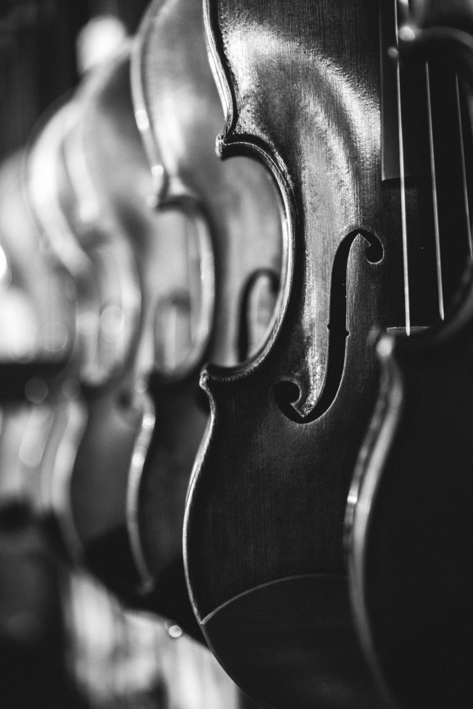 violas on a rack